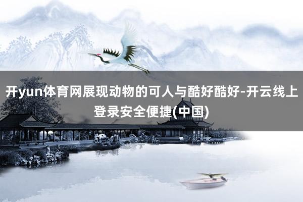 开yun体育网展现动物的可人与酷好酷好-开云线上登录安全便捷(中国)